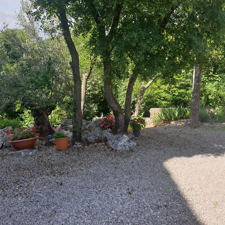 Apartmani Andrea คราลเยวีจา ภายนอก รูปภาพ