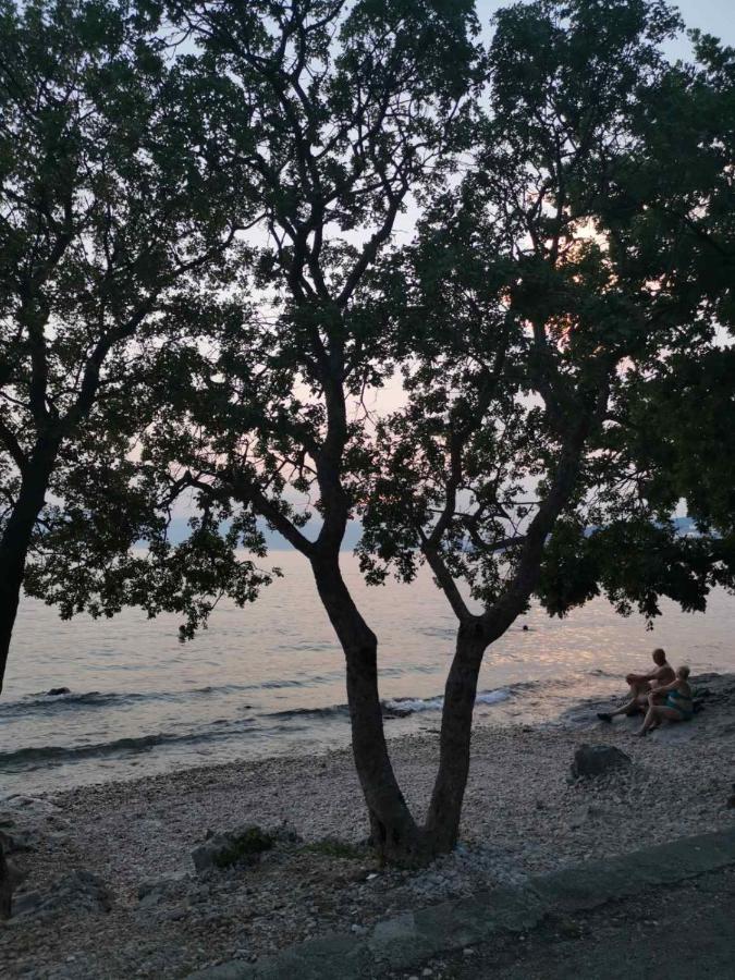 Apartmani Andrea คราลเยวีจา ภายนอก รูปภาพ